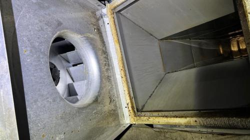 After-Roof-Fan-Picture